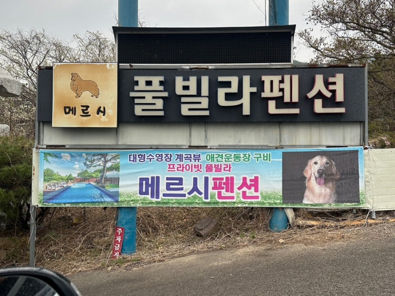 사진 8