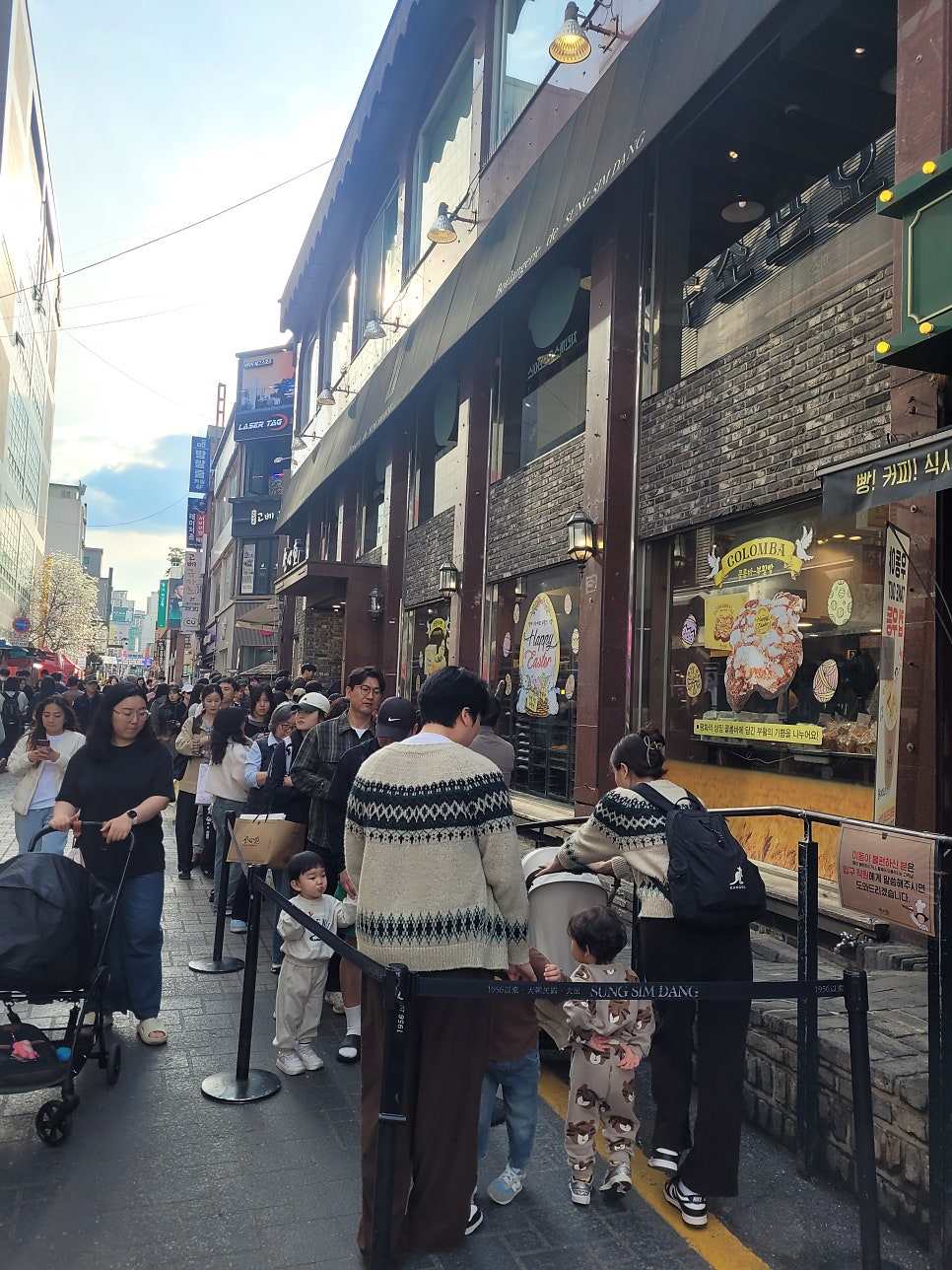 라이언하트 사진 7