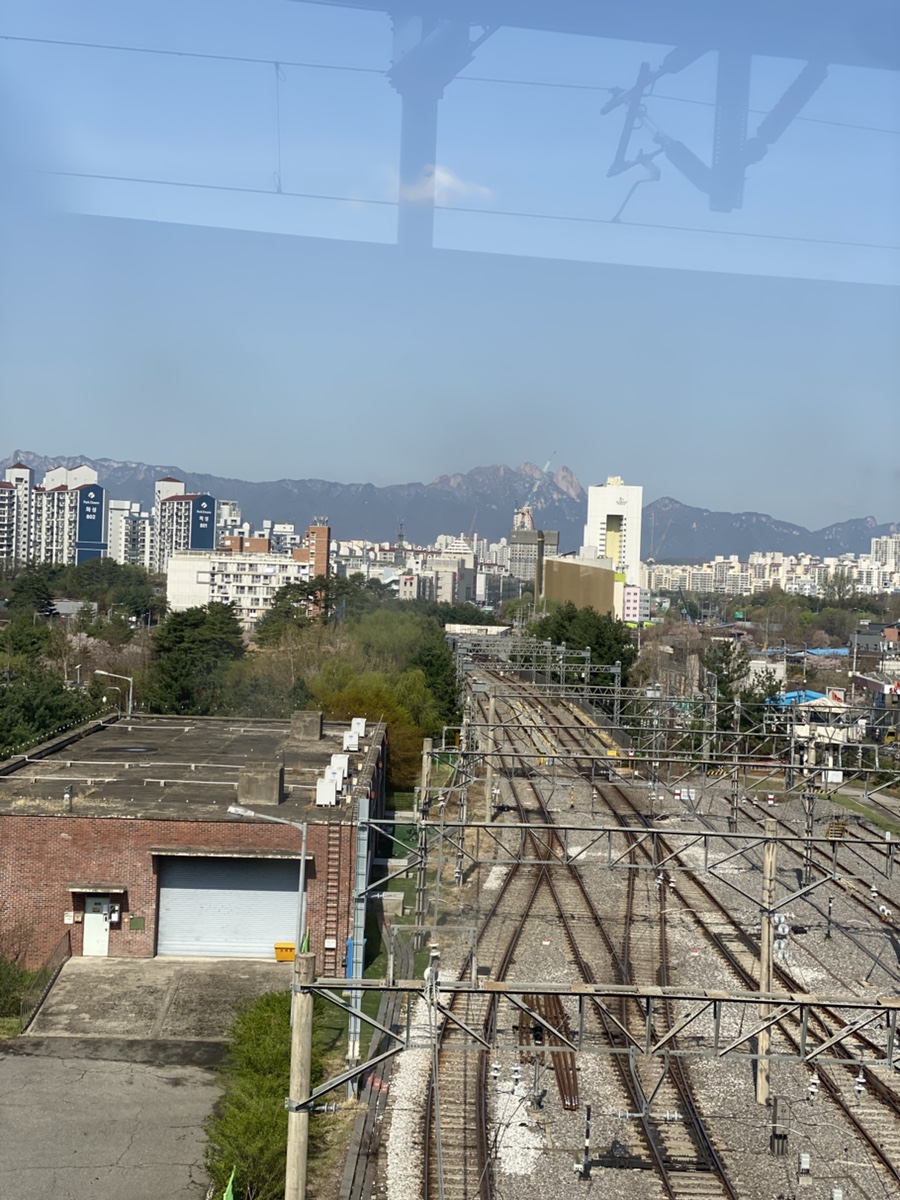 가마솥보리밥 사진 1