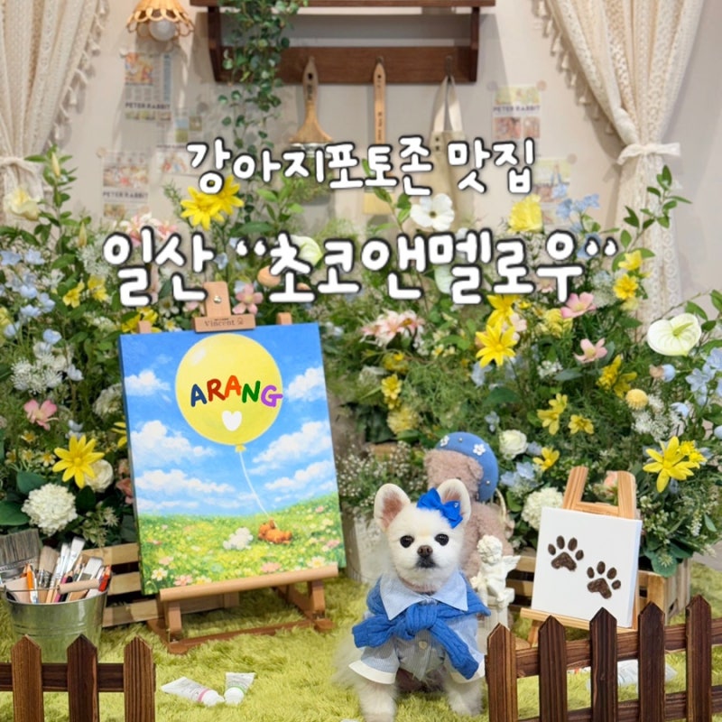 초코앤멜로우