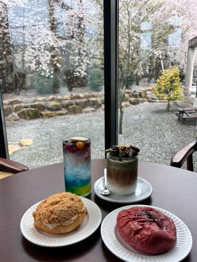 울주 대형카페 작천정 벚꽃카페 작괘원림