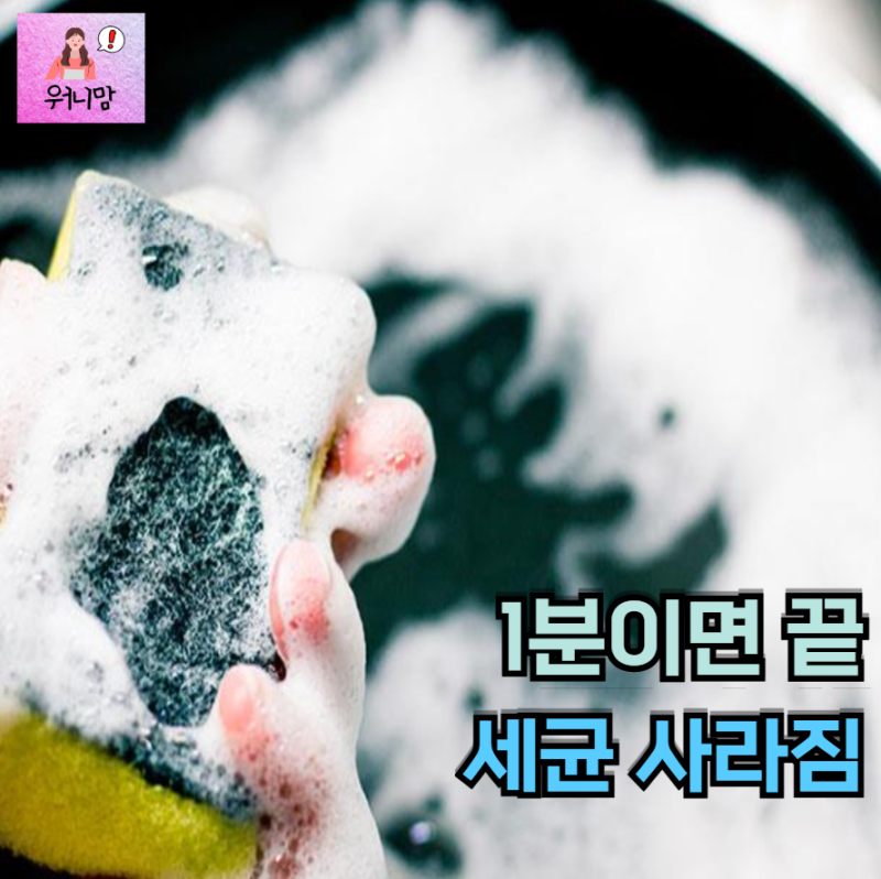 설거지 후 1분만 투자해요, 수세미 세균 막는 방법 TOP3