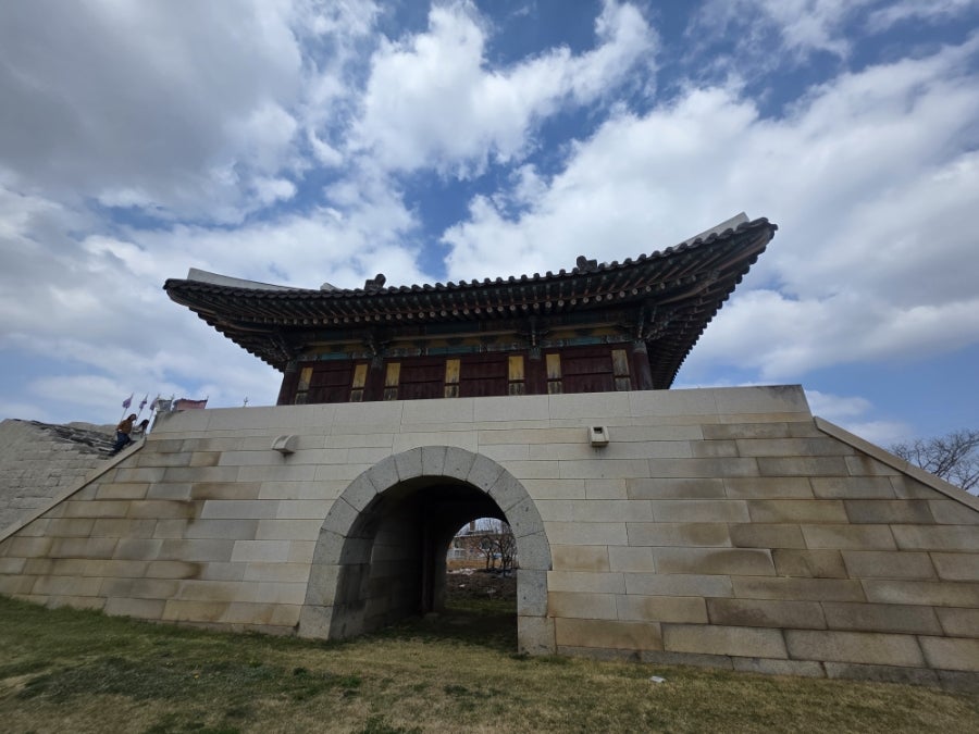 연리지 사진 4