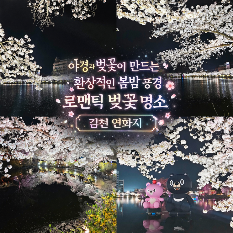  4월 3일 밤 김천 '연화지' 벚꽃 야경 감성 기록