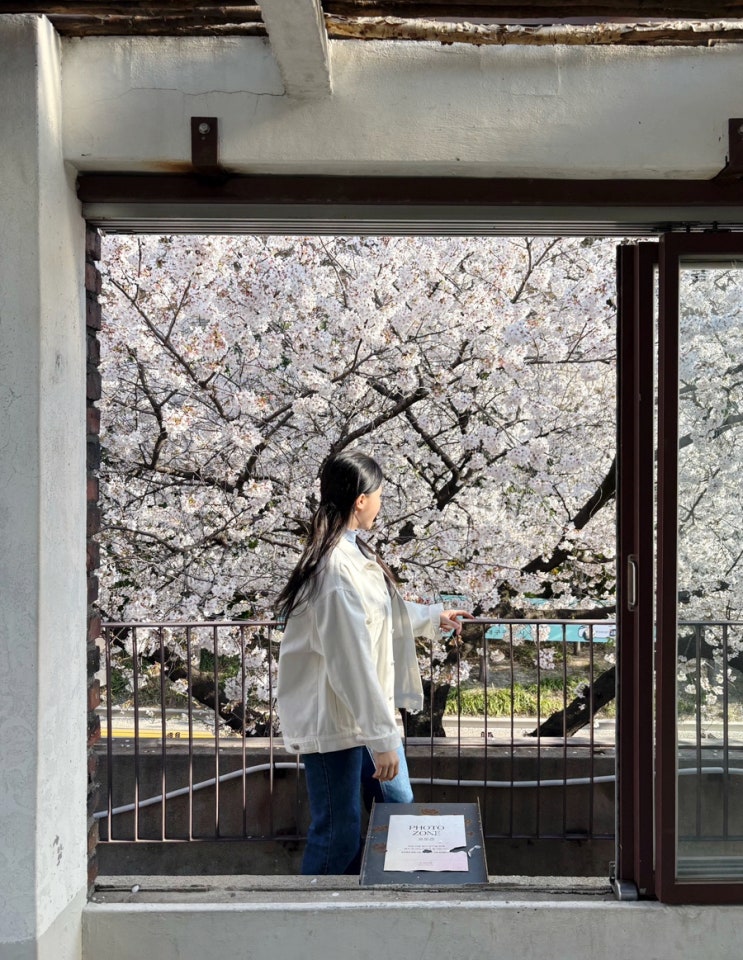 대구 아눅 앞산 카페 벚꽃명소 포토존