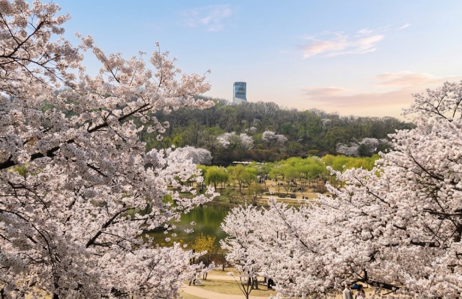 메가요거트 북서울꿈의숲점 사진 3