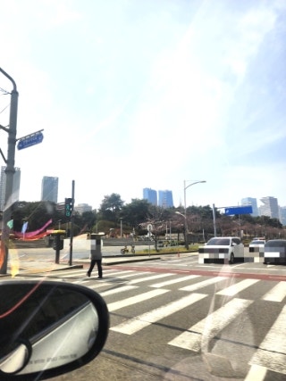사진 3