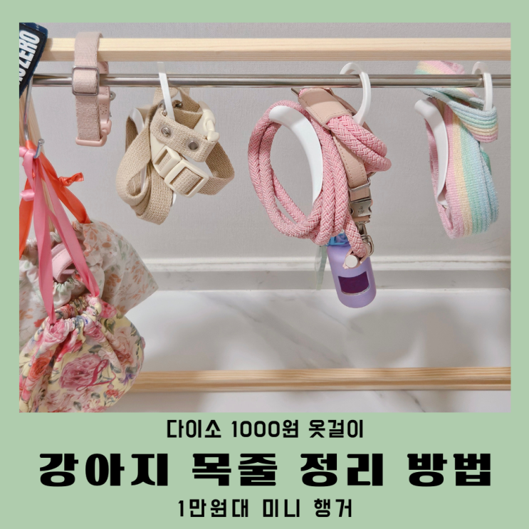  강아지 목줄 하네스 정리 방법 다이소 추천템