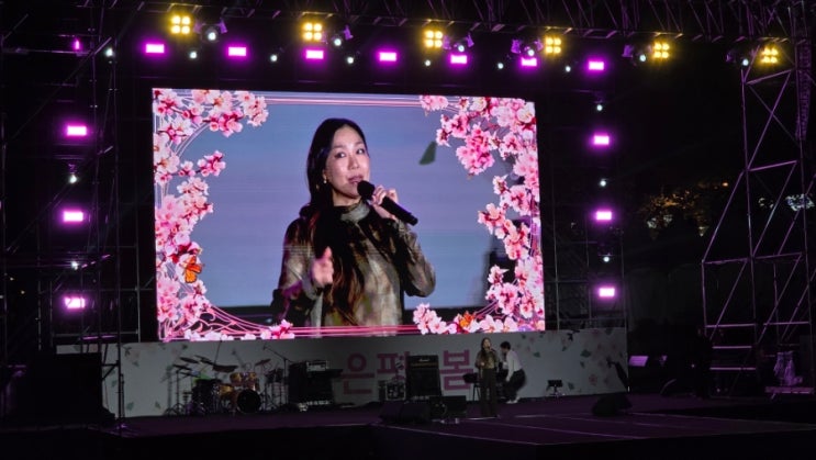  불광천 벚꽃축제 후기｜오늘 꼭 가세요 (은평의 봄 분위기 미쳤다)