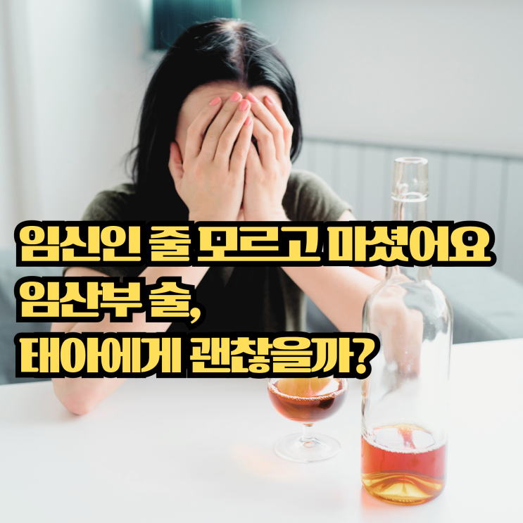  임신초기 임산부 술 한 잔, 모르고 마셨다면? 태아에게 미치는 진짜 영향은?