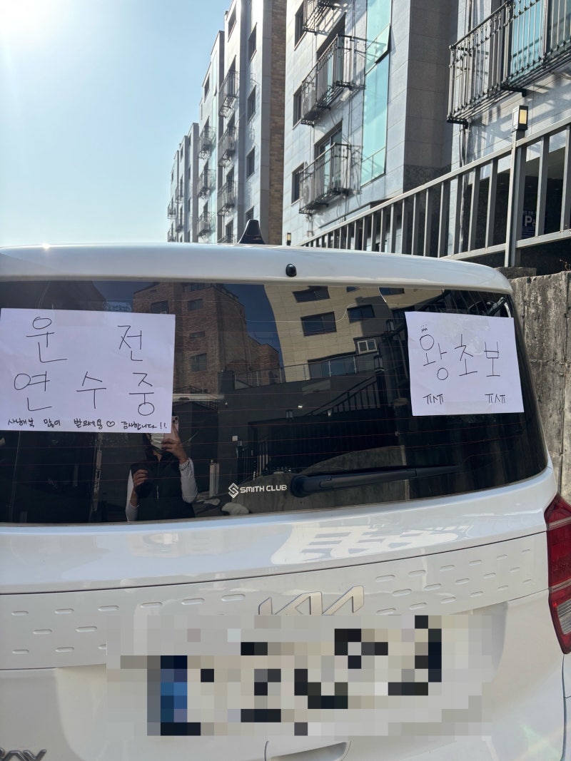 20대 후반 여자 첫차 추천 레이 출고기부터 보험료까지 3달 타고다닌 후기