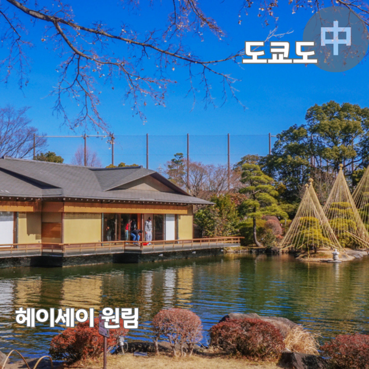  일본 도쿄 가볼만한곳 일본정원 교센공원 헤이세이원림