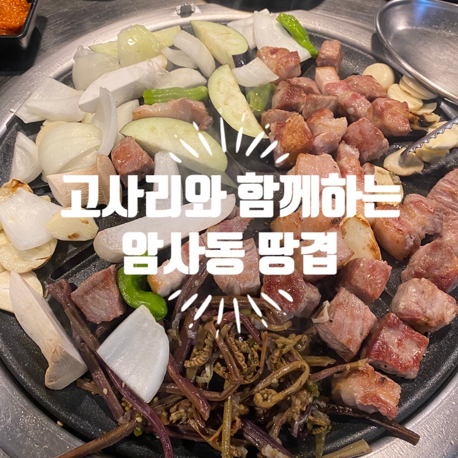 땅겹 사진 1