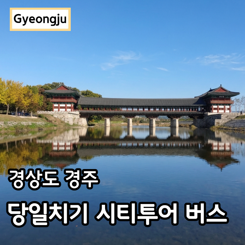 경주 시티투어 버스 이용방법 뚜벅이 당일치기 여행 코스