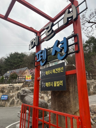 사진 10