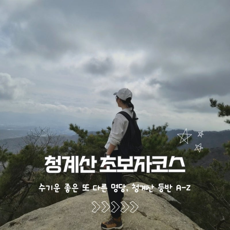 관악산 다음은 여기? 청계산 초보자코스 등반하기(원터골매봉코스 A-Z)