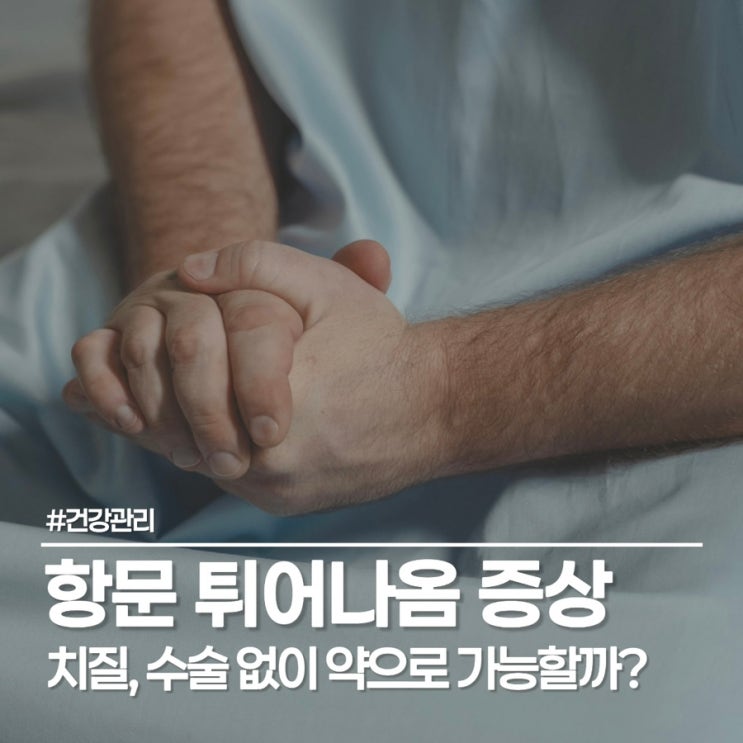 치질 증세 방치하지 마세요! 디오맥스 600mg 복용법 및 관리 팁