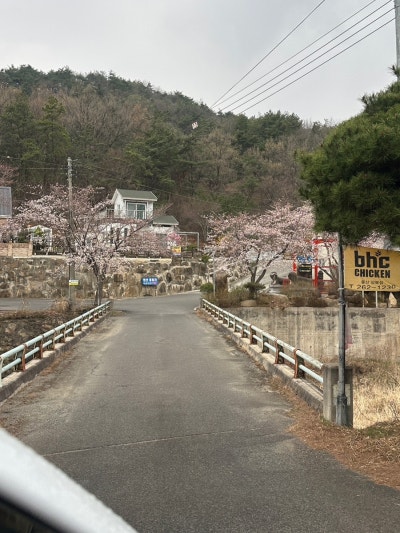 사진 9