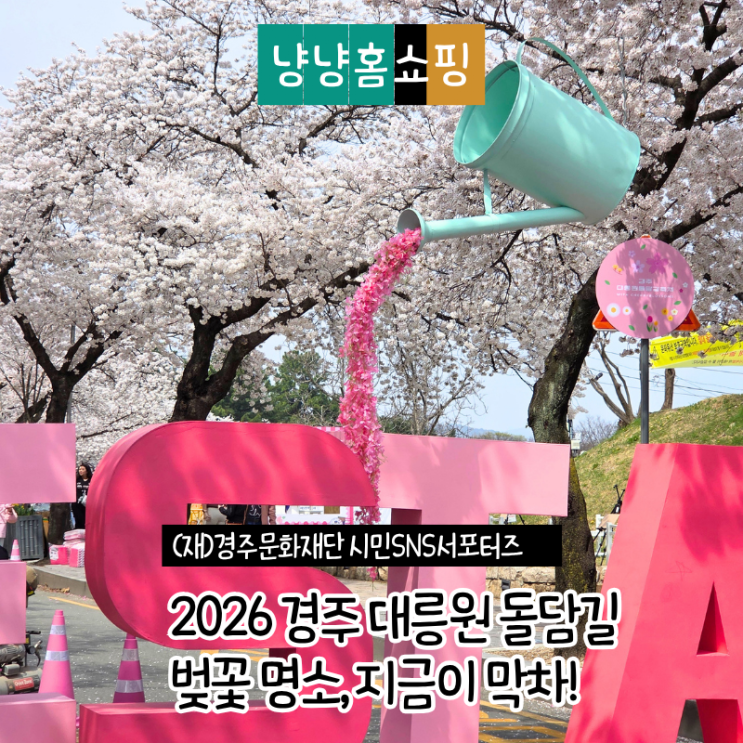  경주 대릉원 돌담길 축제 벚꽃 명소 지금이 막차 꼭 가야 하는 이유