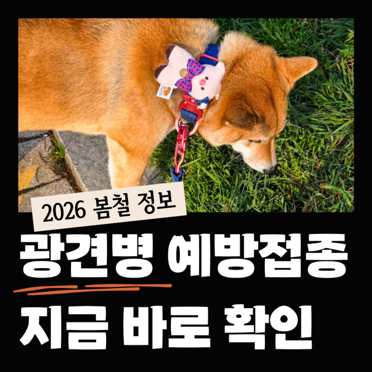  2026 인천 연수구 광견병 예방접종 지금 바로 확인