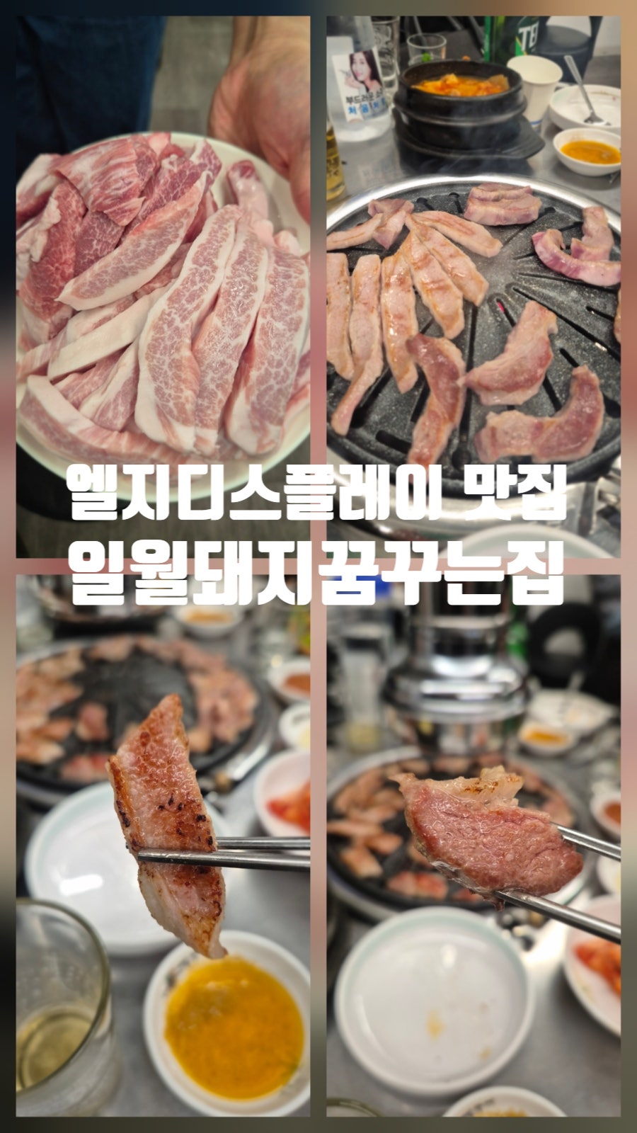 일월돼지꿈꾸는집 사진 1