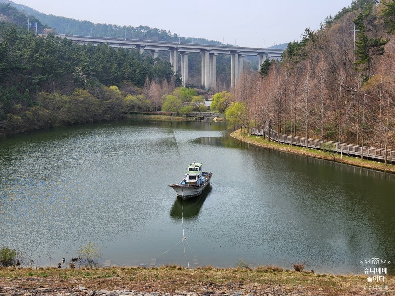 사진 5