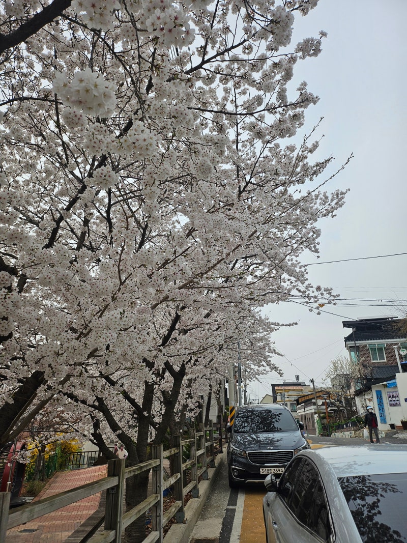 사진 4