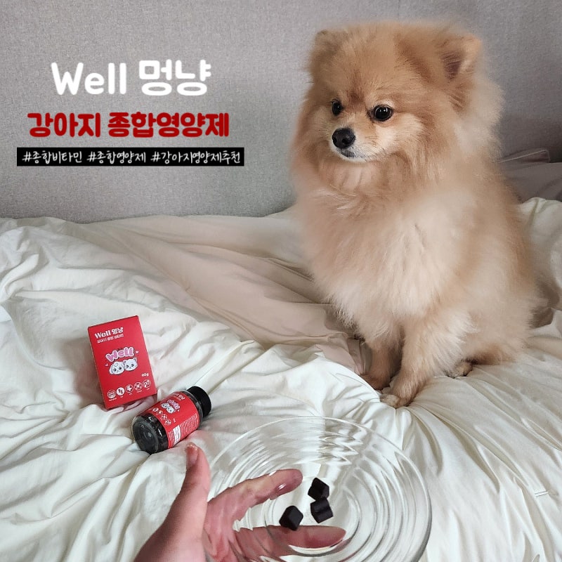 [강아지 종합영양제] Well 멍냥 강아지 종합비타민