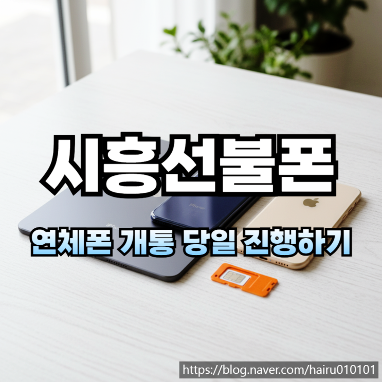  시흥선불폰 연체폰 개통 유심 당일 진행하는 방법 알아보기