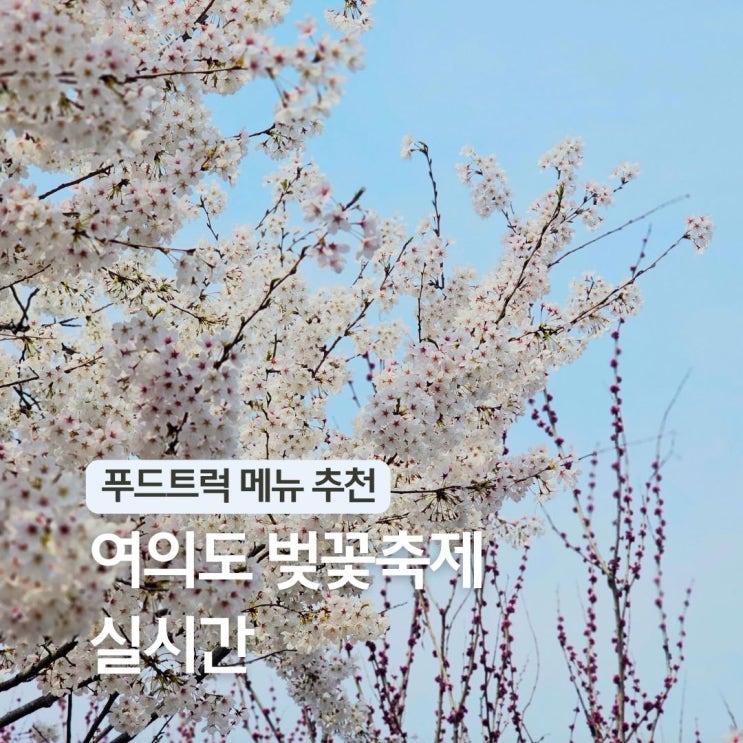  2026 여의도 벚꽃축제 실시간 푸드트럭 위치 메뉴 영등포 데이트 가볼만한곳