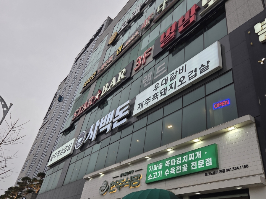 사백돈 사진 2
