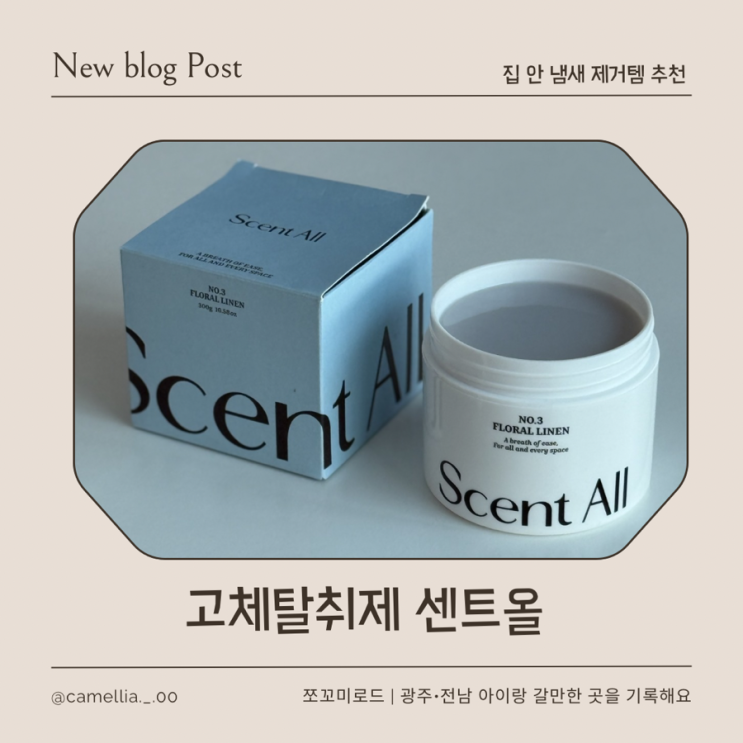  집 냄새 해결! 고체탈취제 센트올 사용 후기 추천