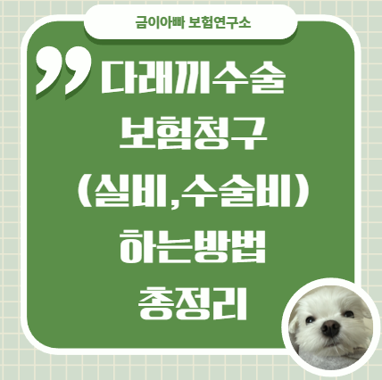 다래끼수술 보험청구 하는방법 총정리