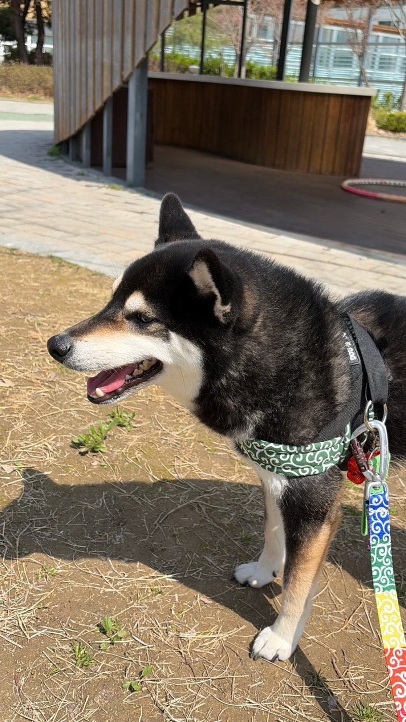 사진 5