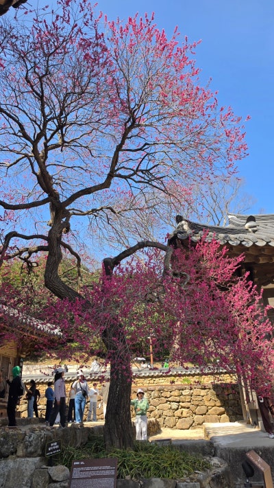 사진 9