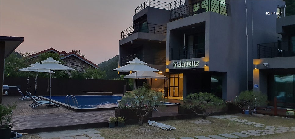 비다펠리스 사진 1