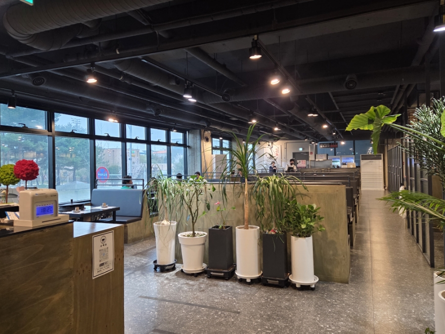 사백돈 사진 6