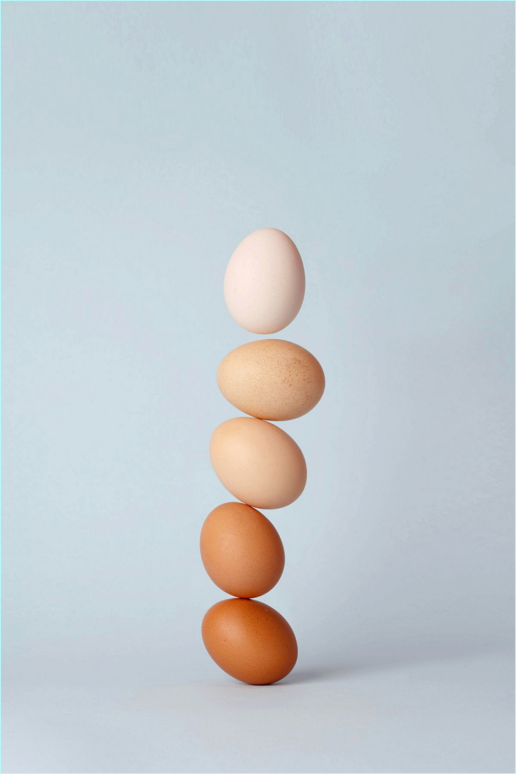  이경실 계란 논란, 난각번호 4번인데 왜 비쌀까?