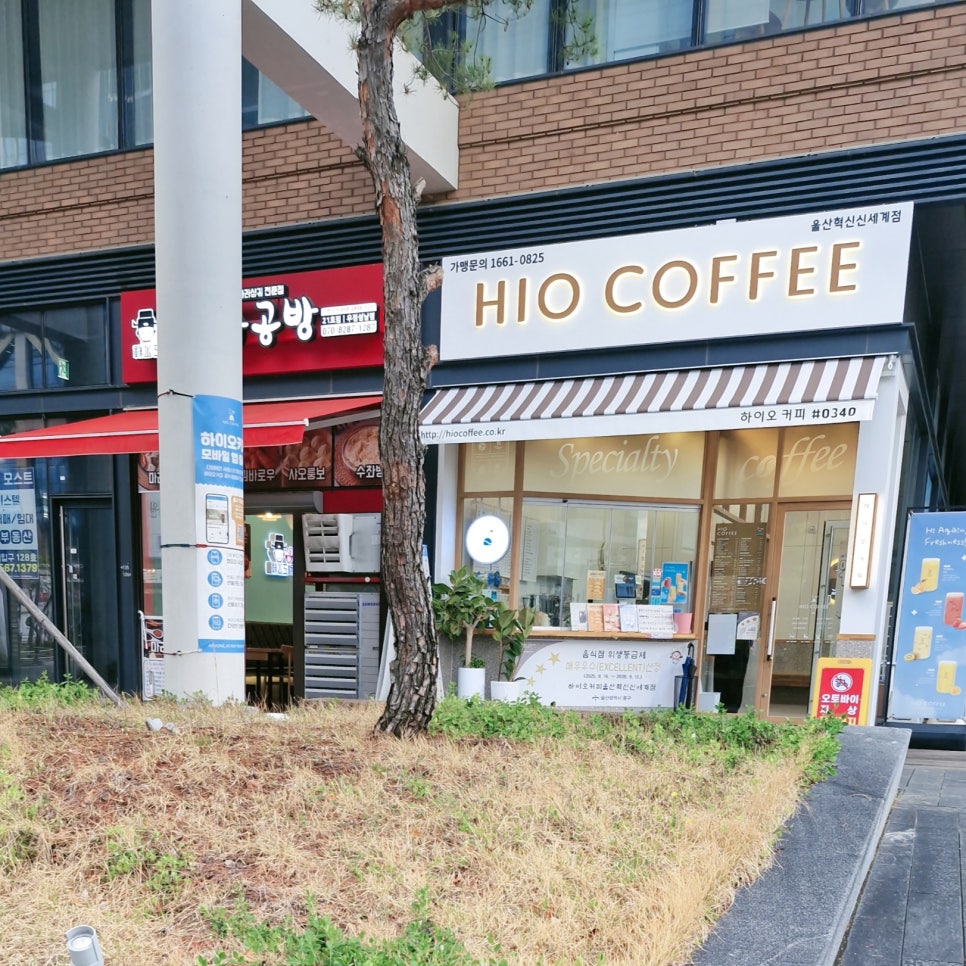 하이오커피 울산혁신신세계점 사진 3
