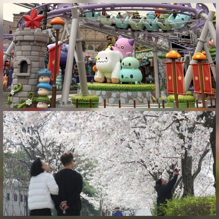 석촌호수 벚꽃 주차장 요금 위치 카페 코스 총정리