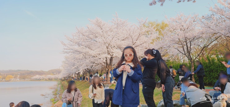  경기도 안산 벚꽃명소 화랑유원지 아이와 가볼만한 공원