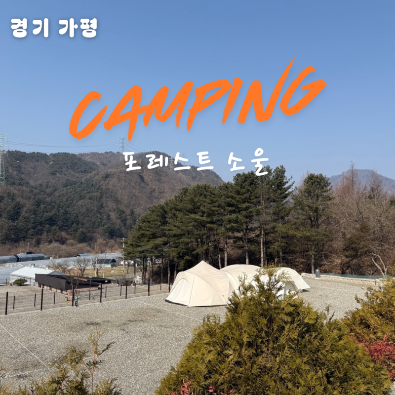 사진 2