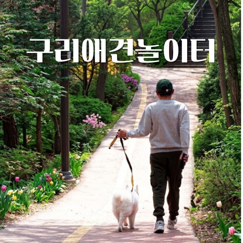 인창중앙공원반려견놀이터