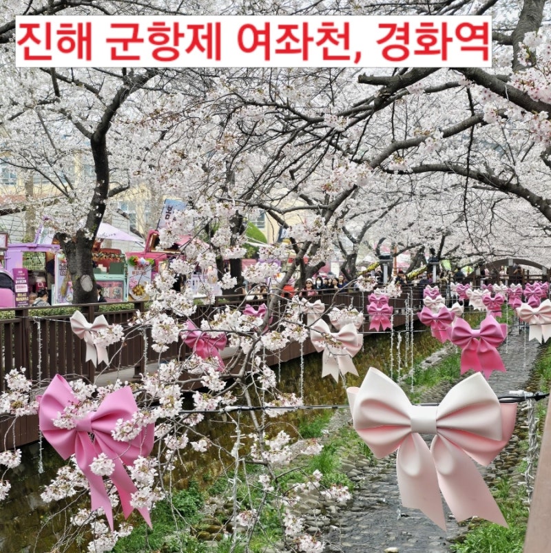 2026년 창원 진해 벚꽃 축제 진해 군항제 교통편 여좌천 경화역 벚꽃 개화상황
