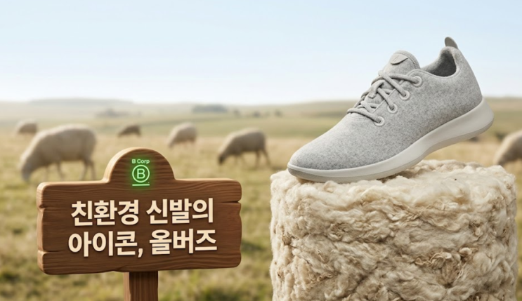  "6조원이 500억으로....." 대통령도 신었던 올버즈, 99% 폭락하고 사라진 이유 알려줄게!