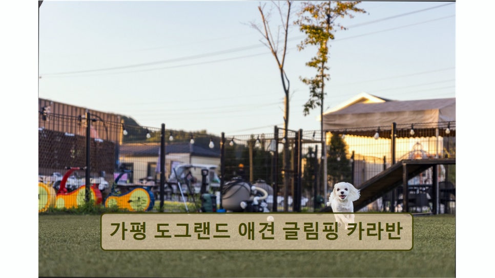 도그랜드글램핑 사진 4