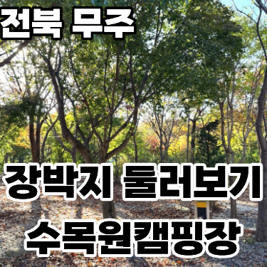  ‘무주 수목원캠핑장’ 겨울 장박지 둘러보기