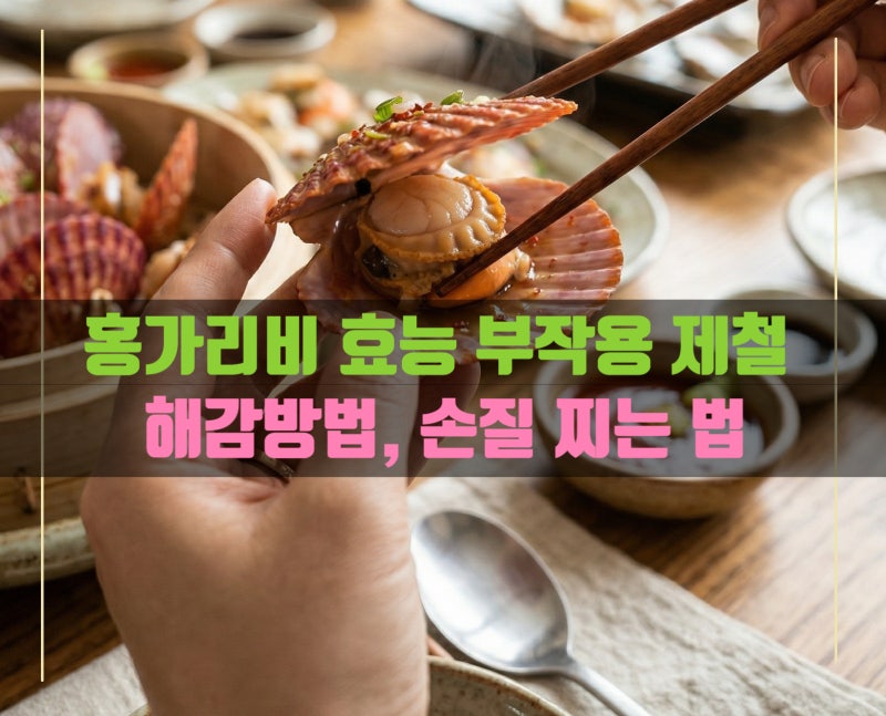 홍가리비 조개 효능 부작용 제철 해감하는 방법 손질 찌는 법