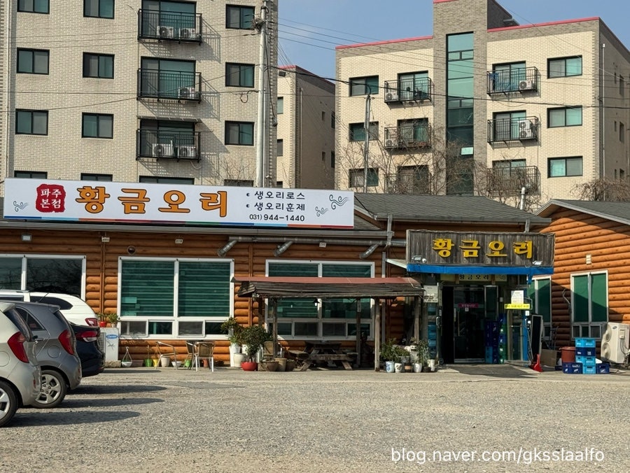 황금오리 사진 1