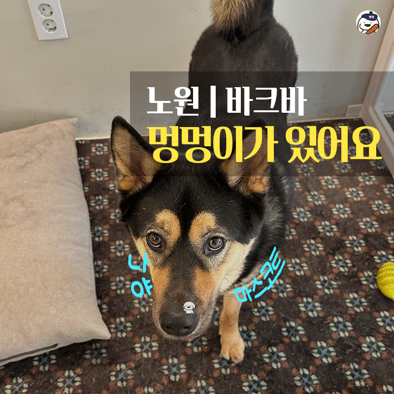 사진 4